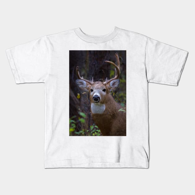 Battle Scars - White-tailed Buck Kids T-Shirt by Jim Cumming